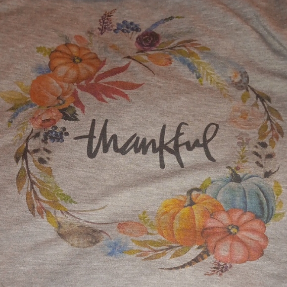 Phil Love Gray Sweatshirt with Thanksgiving Design - Picture 3 of 4
